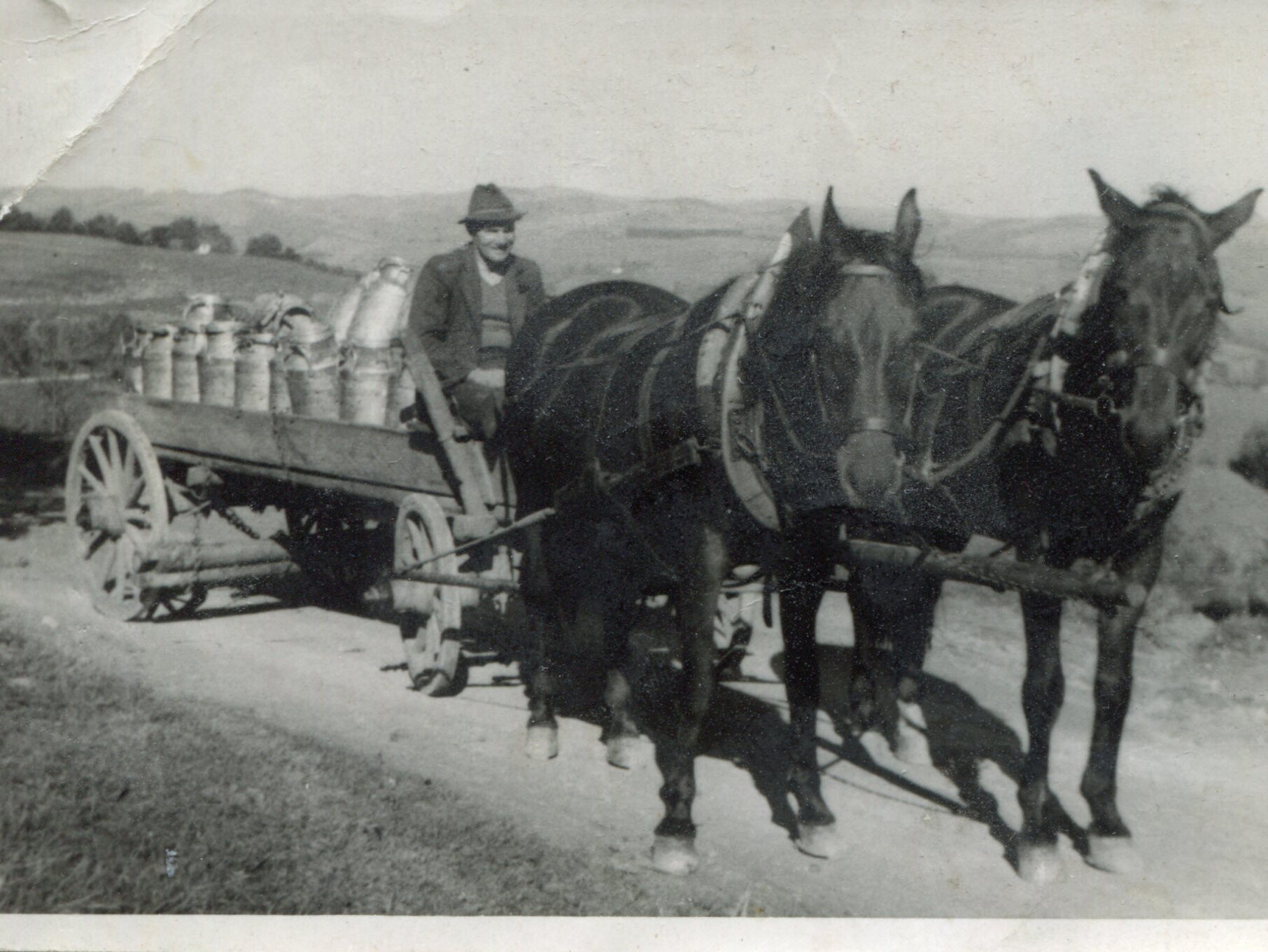 Zweispänniges Pferdefuhrwerk fährt auf einer Schotterstraße mit Milch beladen. 