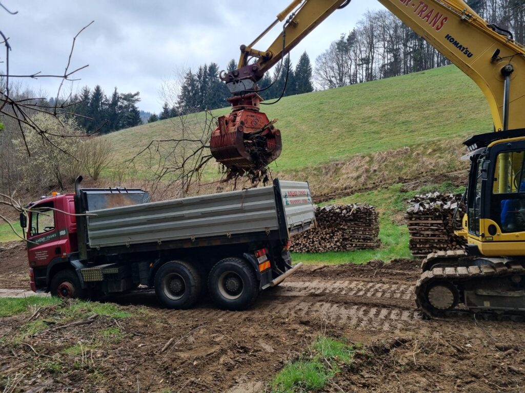 Bagger mit Sortiergreifer belädt Kipper-LKW mit Aushubmaterial im ländlichen Gelände
